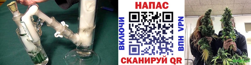 купить наркоту  Светогорск  kraken вход  Каннабис индика 